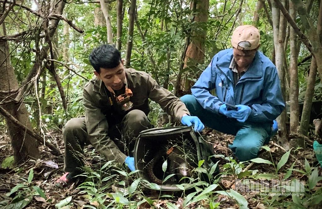 Đội ngũ cán bộ thực địa lựa chọn kỹ lưỡng khu vực tái thả phù hợp.