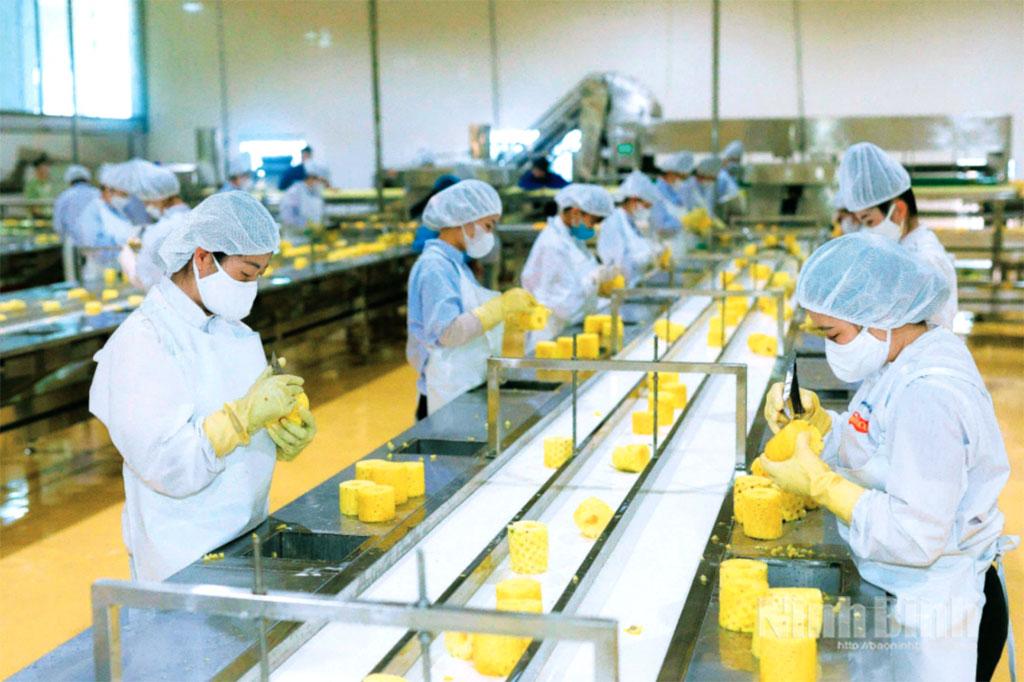 Công nhân Công ty cổ phần Thực phẩm Xuất khẩu Đồng Giao (Doveco) hối hả những ngày làm việc cuối năm. Ảnh: Ngọc Linh