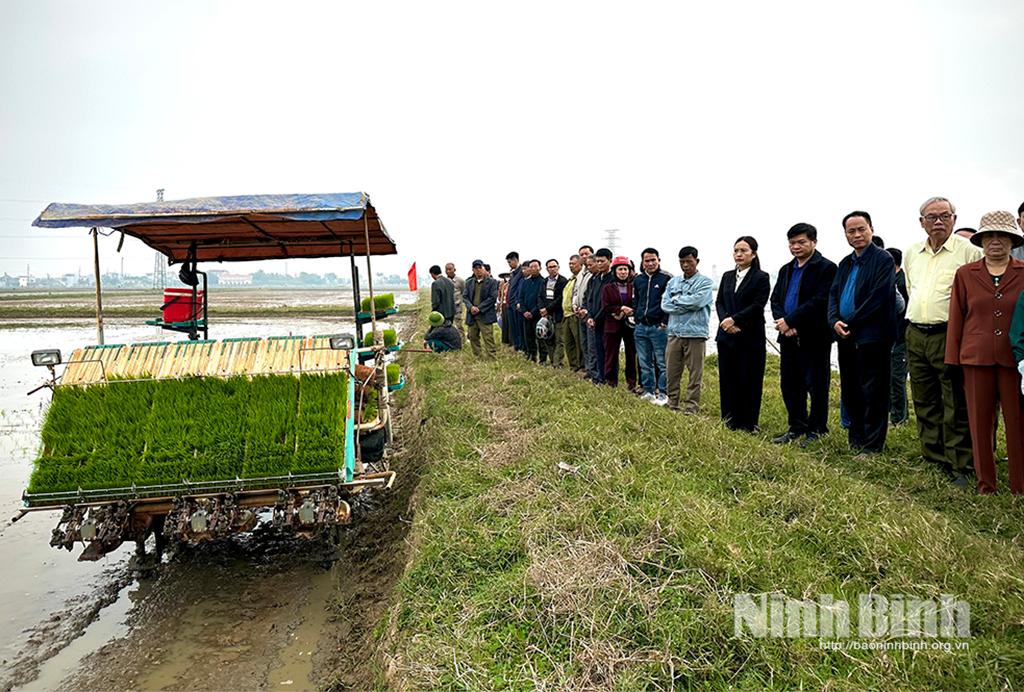 Các đại biểu và bà con nông dân tham quan thực tế quy trình sản xuất lúa theo hướng hữu cơ.