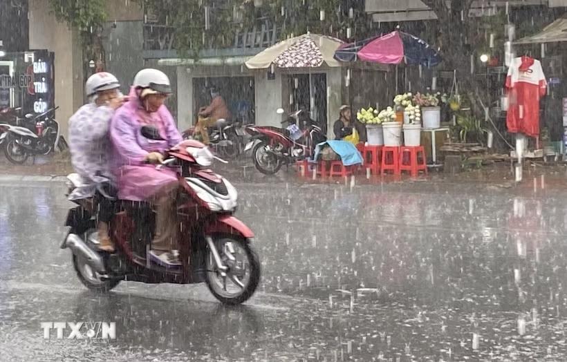 (Ảnh minh họa: Công Mạo/TTXVN)