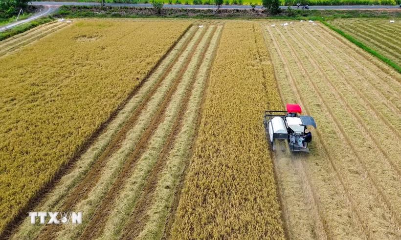 Người dân ứng dụng khoa học công nghệ trong thu hoạch, nâng cao hiệu quả sản xuất nông nghiệp. (Ảnh: Giang Phương/TTXVN)