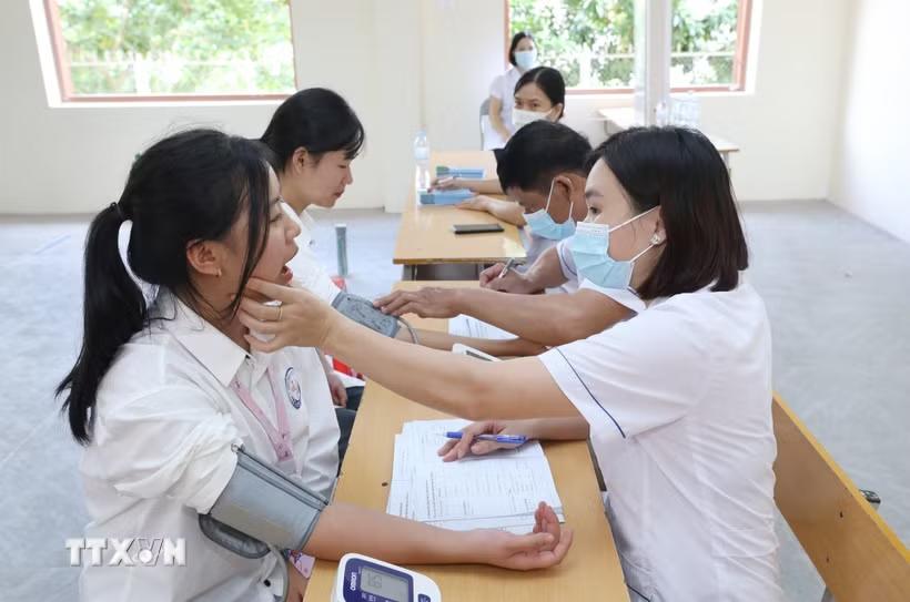 Ảnh minh họa. (Ảnh: Anh Tuấn/TTXVN)