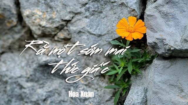 Rồi một sớm mai thức giấc