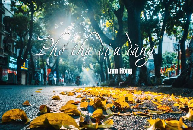 Phố thu dịu dàng