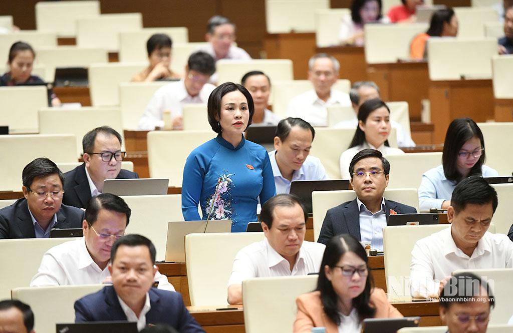 Đại biểu Trần Thị Hồng Thanh, Phó Trưởng đoàn ĐBQH tỉnh Ninh Bình tham gia thảo luận tại Hội trường.