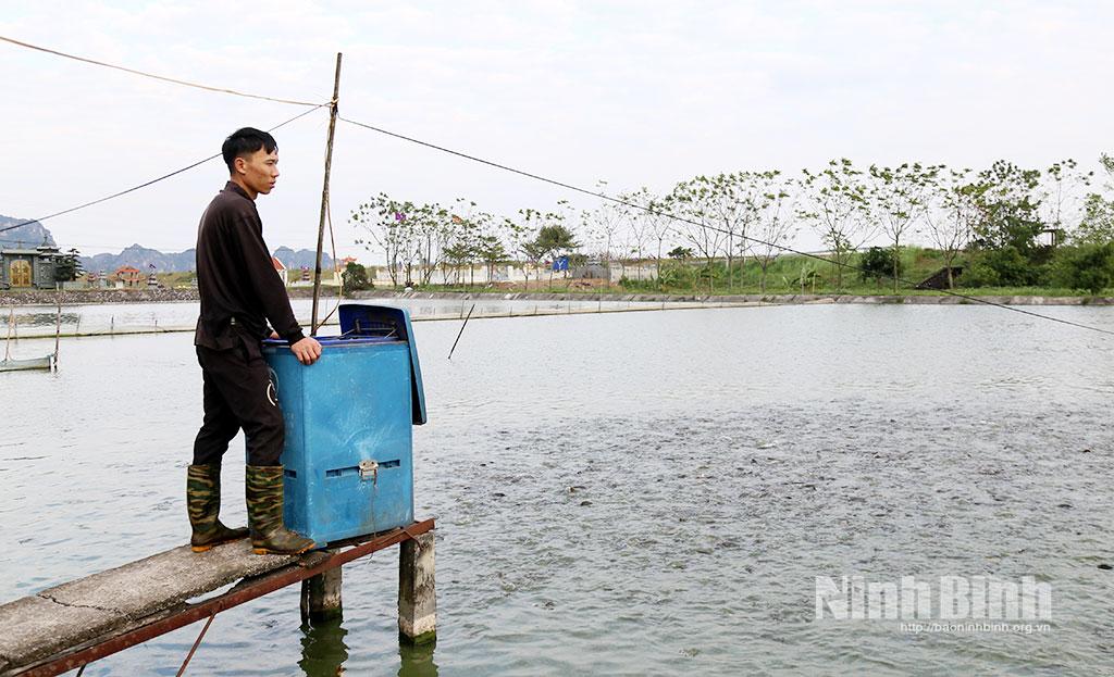 Mô hình nuôi cá trê vàng sử dụng chế phẩm Nano bạc tại xã Nho Quan được đầu tư hiện đại.