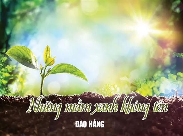 Những mầm xanh không tên