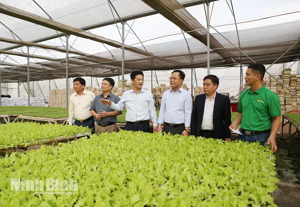 Đồng chí Phó Chủ tịch UBND tỉnh Trần Anh Dũng kiểm tra tình hình sản xuất tại Công ty TNHH Đầu tư sản xuất phát triển nông nghiệp WinEco.