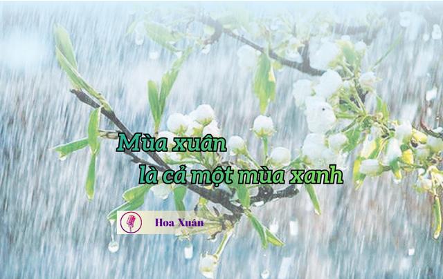 Mùa xuân là cả một mùa xanh