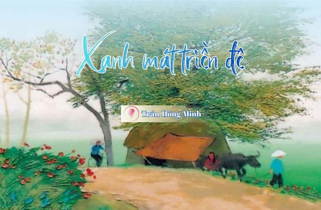 Xanh mát triền đê