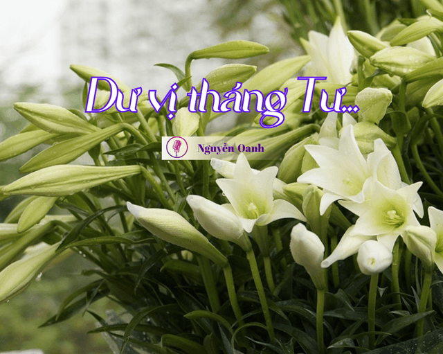 Dư vị tháng Tư...