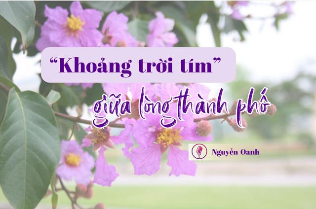 “Khoảng trời tím” giữa lòng thành phố