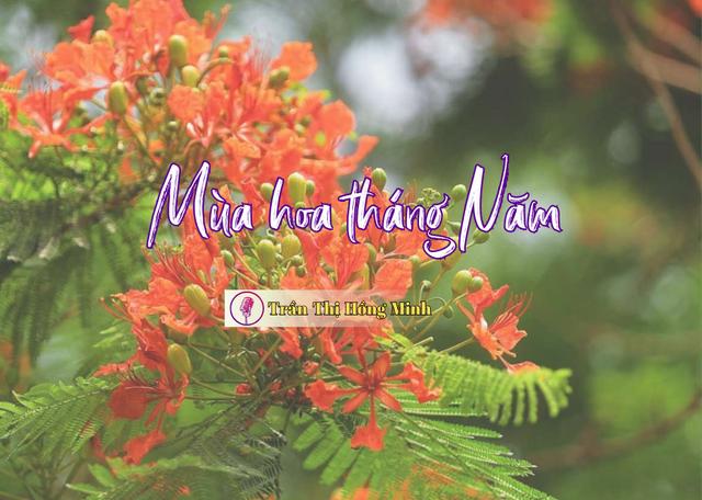 Mùa hoa tháng Năm
