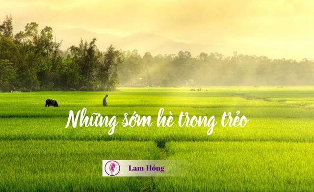 Những sớm hè trong trẻo