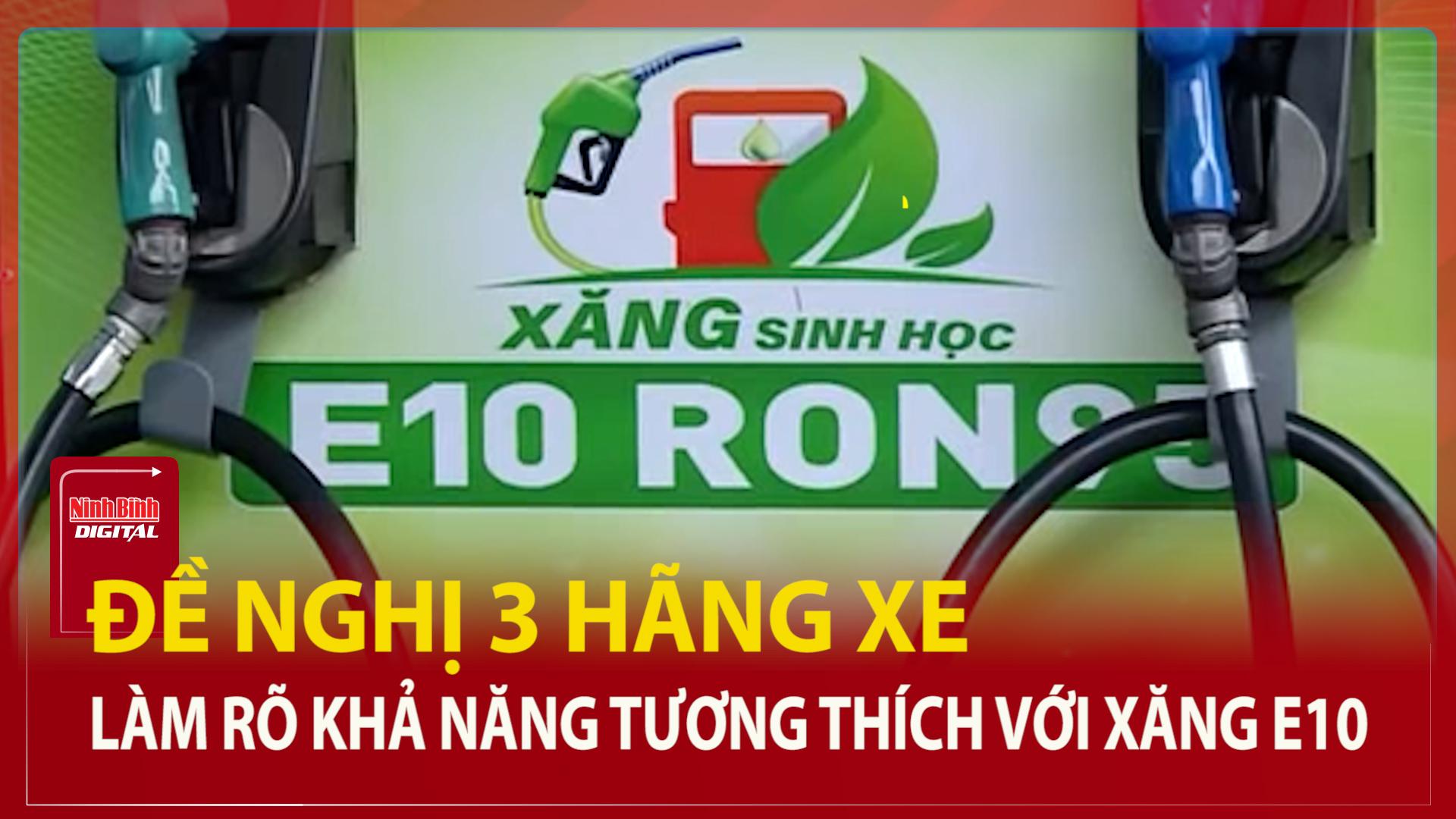 Đề nghị 3 hãng xe làm rõ khả năng tương thích với xăng E10