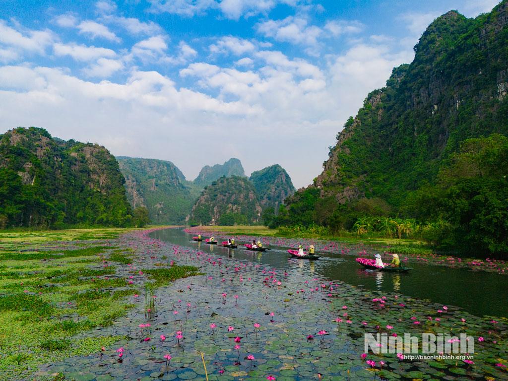 Khu du lịch Tam Cốc tập trung chăm sóc cảnh quan thu hút du khách.