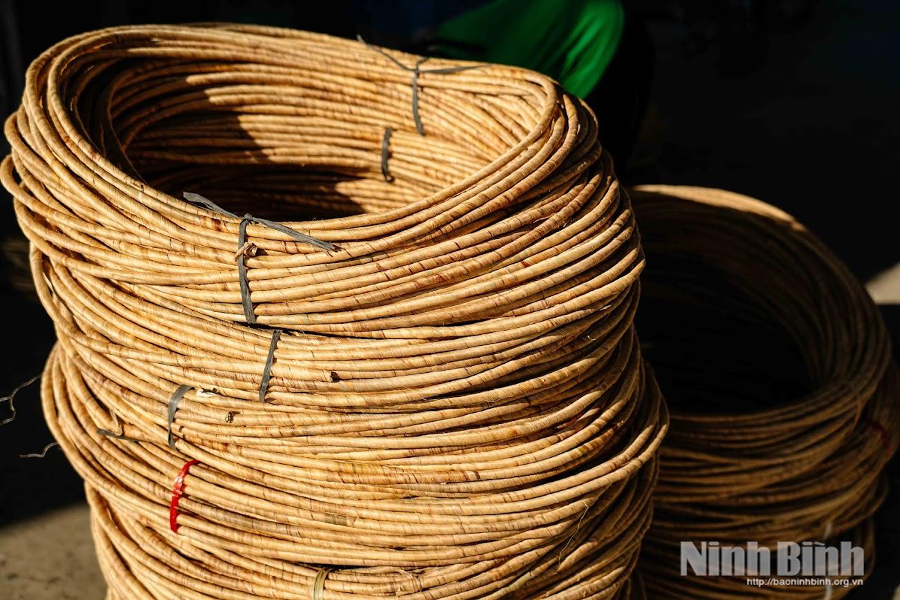 Cói sau thu hoạch được bó gọn, vận chuyển nhanh về cơ sở sơ chế. Việc cơ giới hóa khâu vận chuyển giúp giảm sức lao động thủ công, rút ngắn thời gian và giữ chất lượng nguyên liệu ổn định - yếu tố quan trọng của sản xuất công nghiệp.