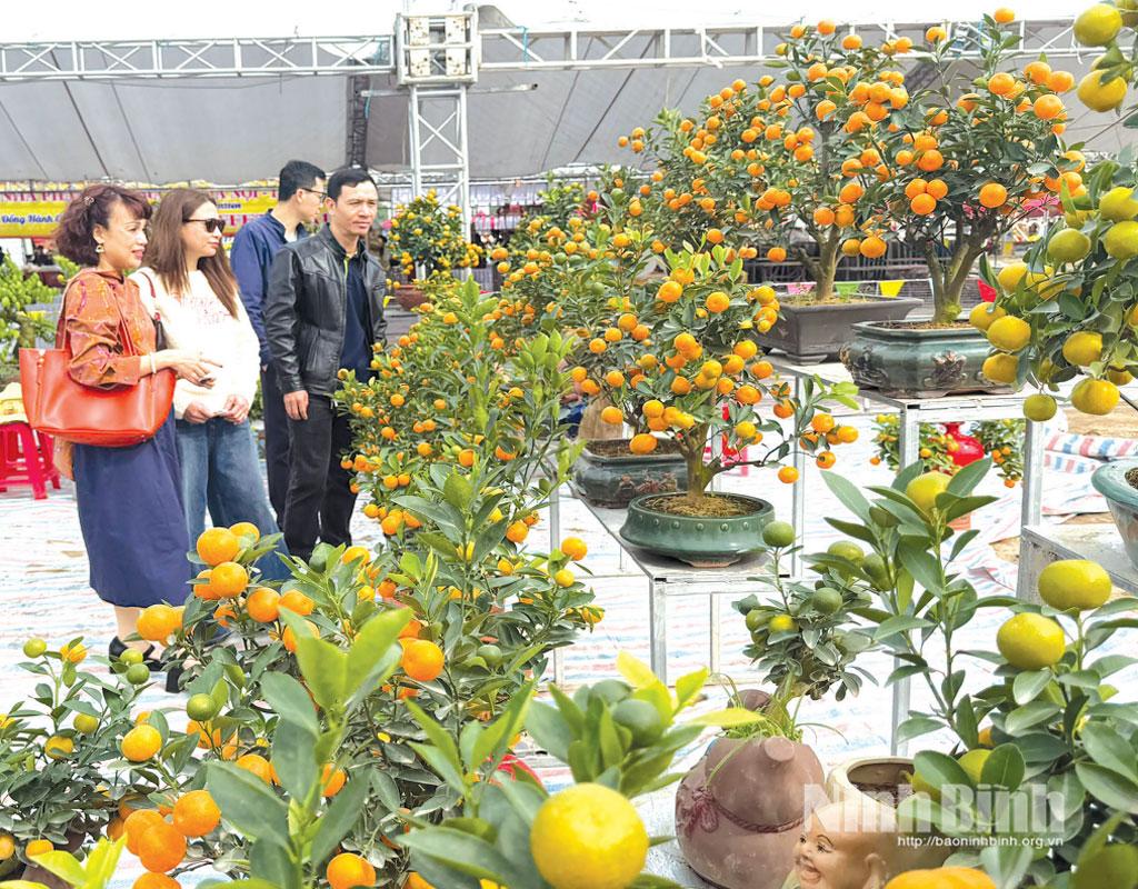 Người dân mua sắm hoa, cây cảnh tại Chợ hoa Xuân Bính Ngọ 2026 phường Thiên Trường.