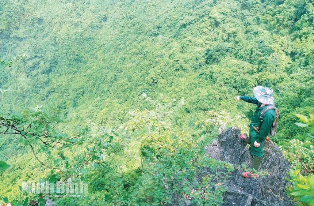 Cán bộ Trung tâm Tài nguyên Môi trường và Biến đổi khí hậu (CeREC) khảo sát rừng Đồng Thái.