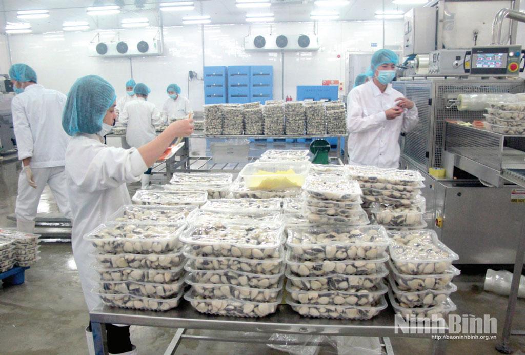 Ứng dụng công nghệ cao trong chế biến ngao tại Công ty TNHH Thủy sản Lenger Việt Nam (Cụm công nghiệp An Xá).