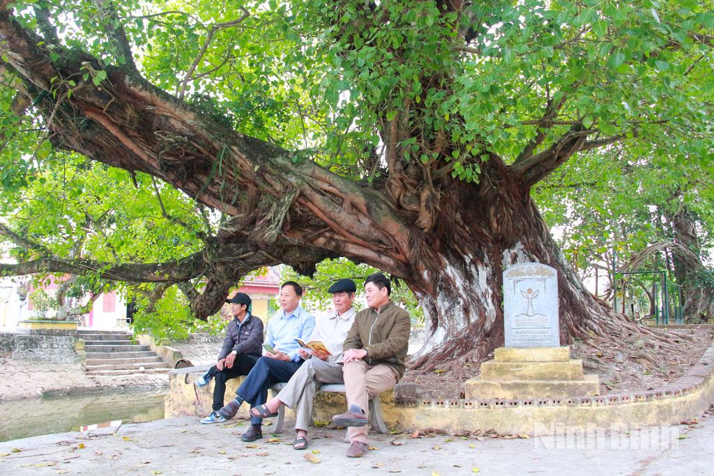 Người dân xã Hải Hậu trò chuyện dưới bóng mát cây bồ đề.