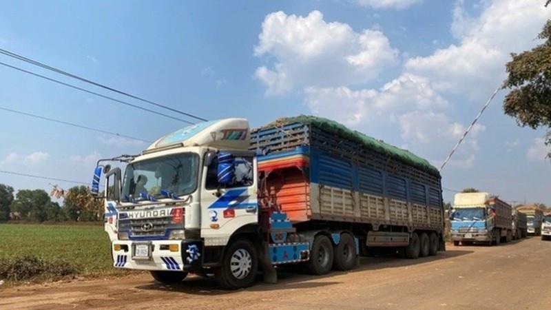 Xe hàng hóa ở cửa khẩu Tây Ninh. (Ảnh: VGP)