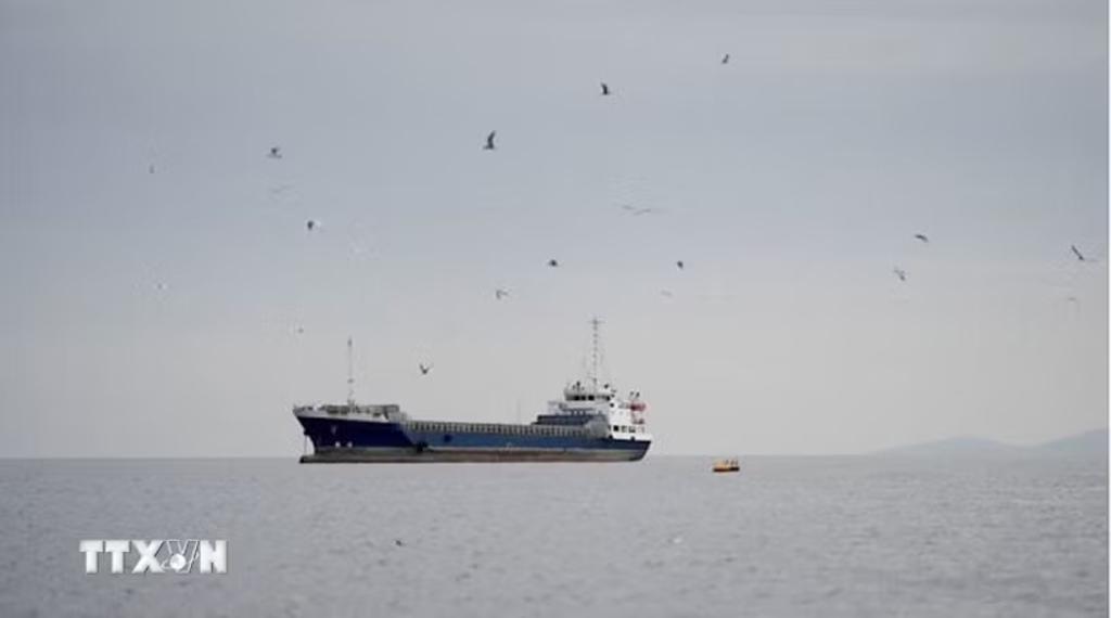 Tàu thủy di chuyển ở eo biển Hormuz, ngoài khơi tỉnh Musandam của Oman, ngày 12/4. (Ảnh: REUTERS/TTXVN)
