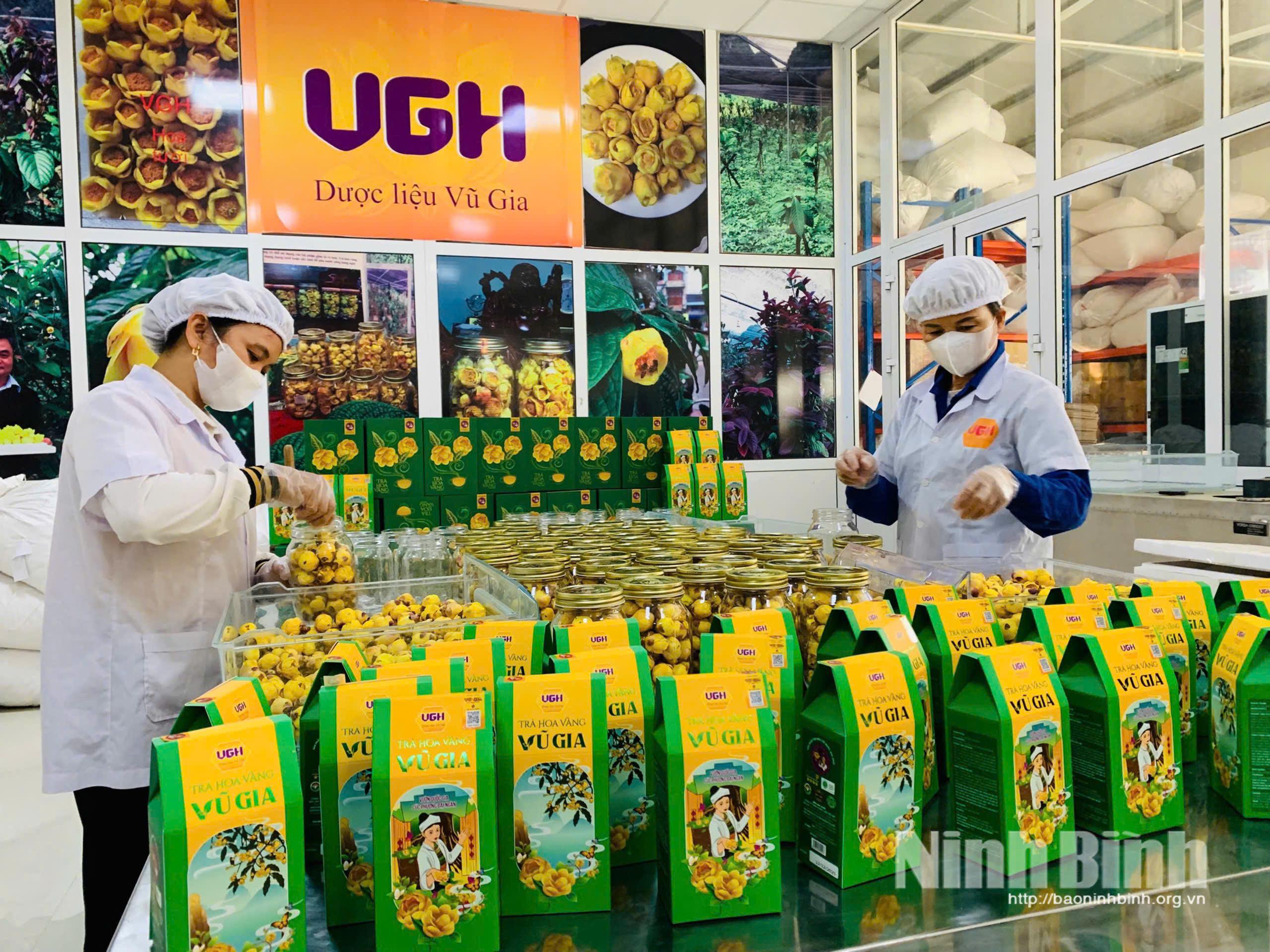 Công nhân Công ty TNHH Dược liệu Vũ Gia, xã Gia Lâm đảm bảo các nguyên tắc vệ sinh an toàn thực phẩm trong chế biến, đóng gói trà hoa vàng.