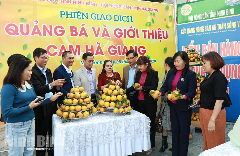 Quảng bá và giới thiệu cam Hà Giang tại Ninh Bình