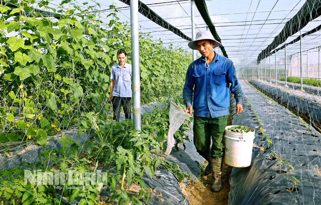 Đòn bẩy của sản xuất nông nghiệp