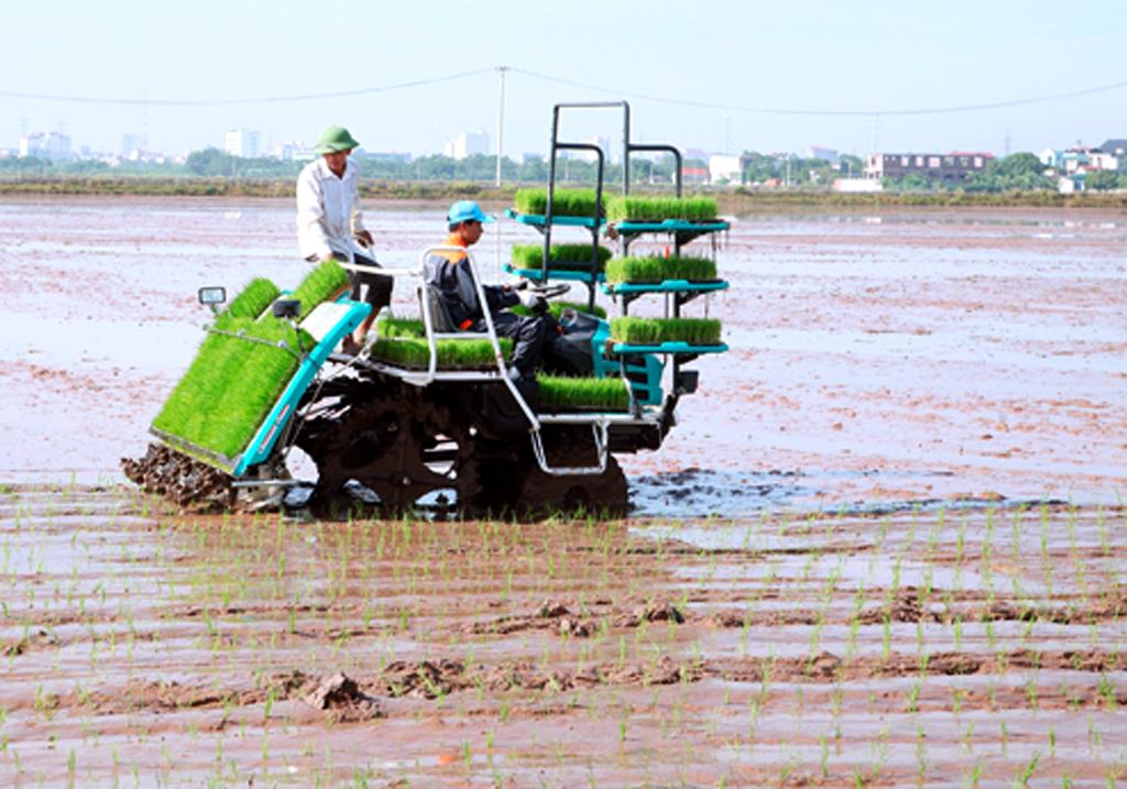 Đẩy nhanh tiến độ gieo cấy lúa mùa