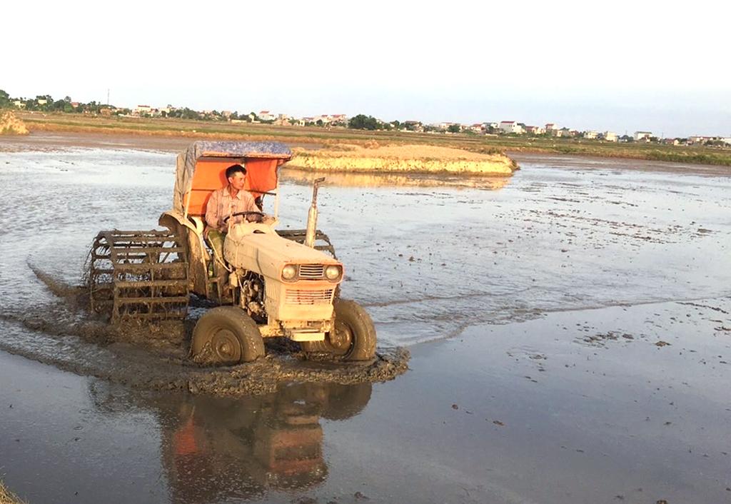 Yên Mô tập trung sản xuất vụ mùa