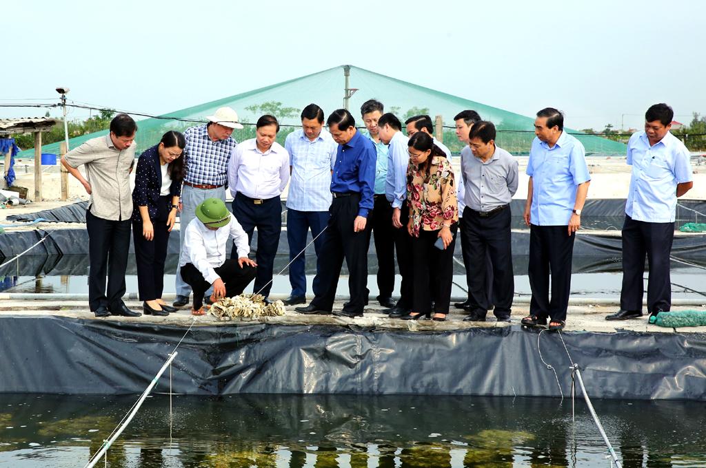 Cảm xúc Tháng Tám