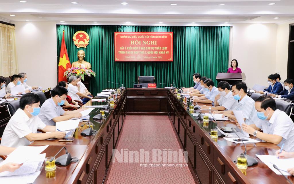 Đoàn ĐBQH tỉnh tổ chức lấy ý kiến góp ý vào các dự thảo luật trình tại Kỳ họp thứ 2, Quốc hội khóa XV