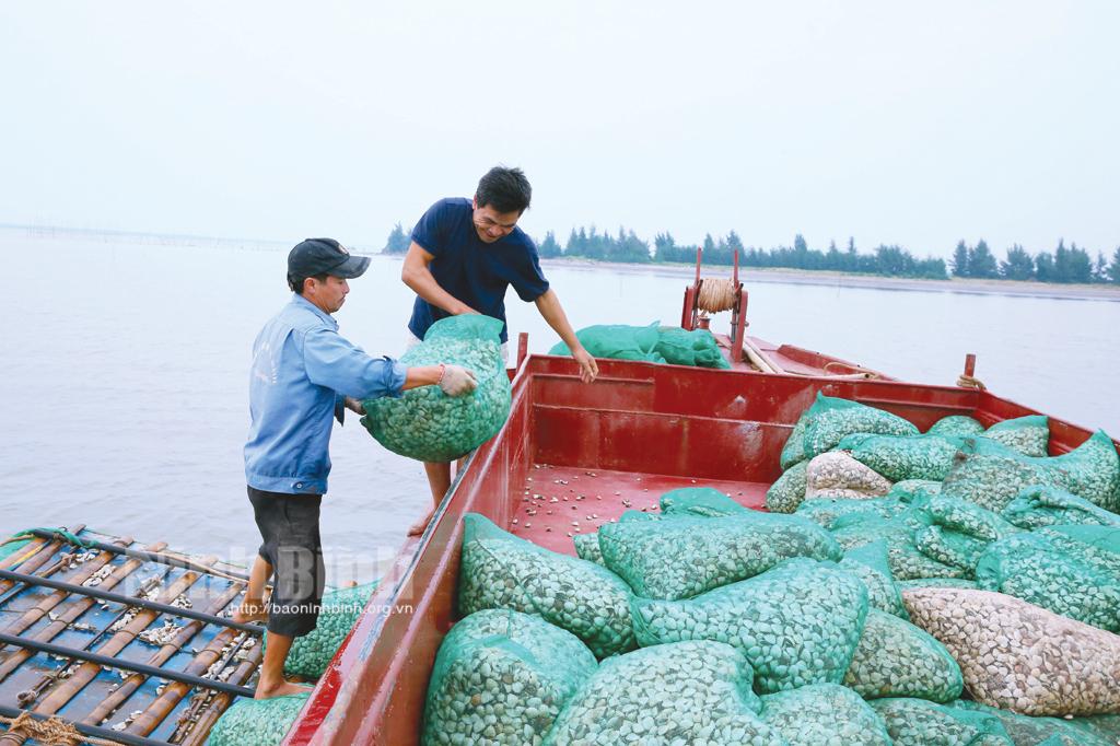 Nông nghiệp vững vàng vượt sóng về đích