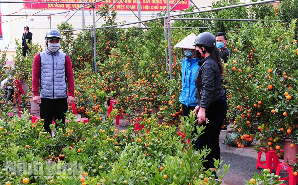 Kim Sơn, Tết đang đến rất gần