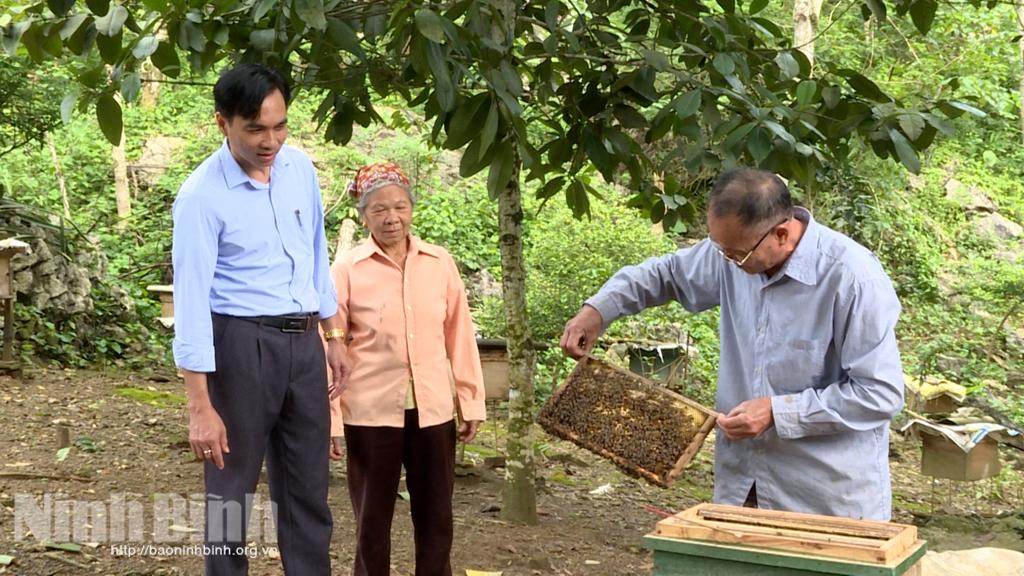 Tháng Ba, mùa ong đi lấy mật