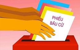 Bốn nguyên tắc cơ bản trong bầu cử