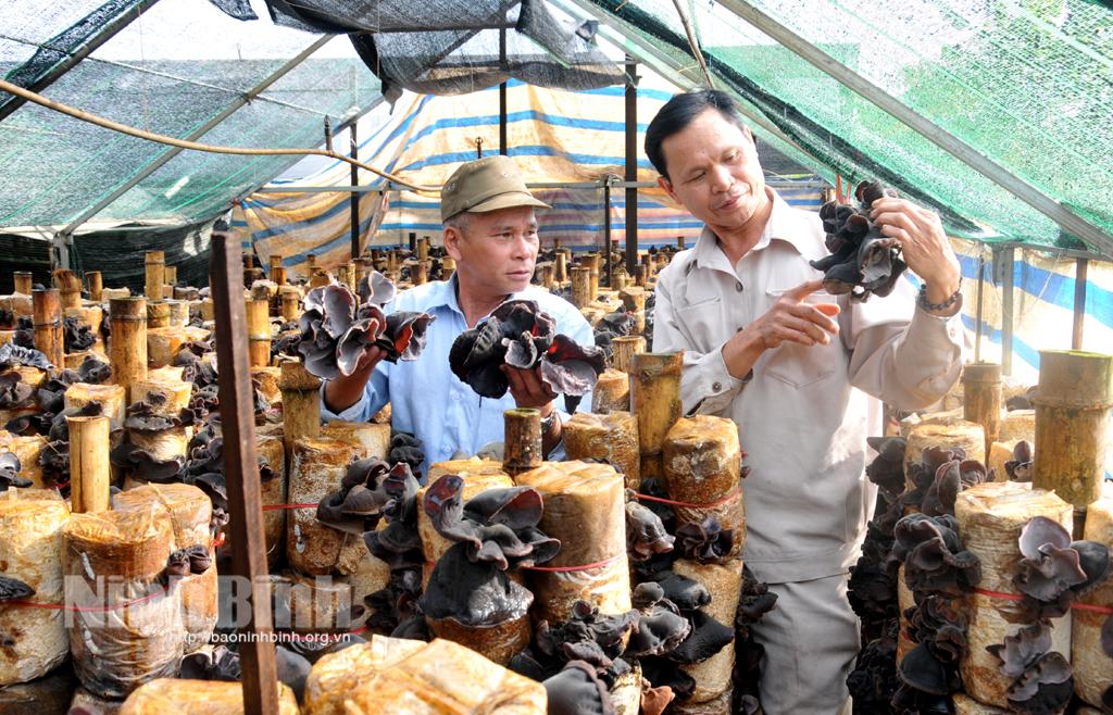 Kỳ 3: Những con số ấn tượng