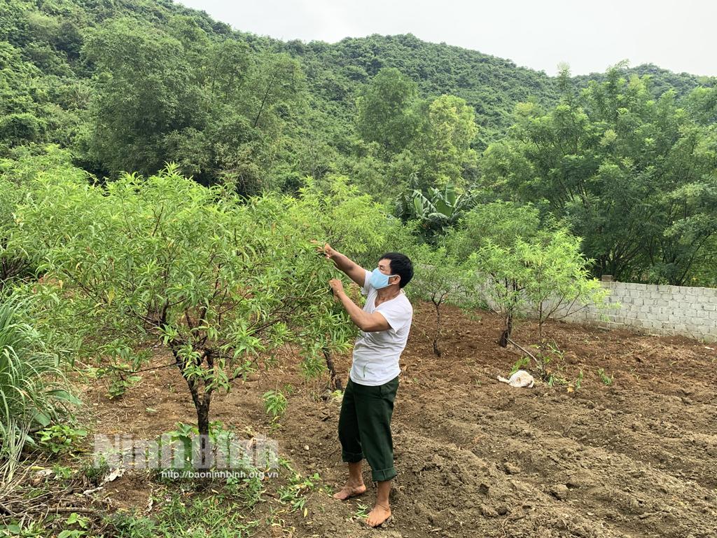 Khi đất cằn cho "trái ngọt"