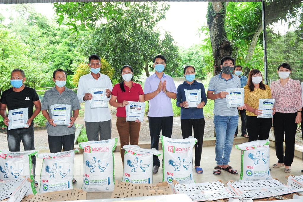 Hỗ trợ xây dựng mô hình nuôi gà thịt theo hướng an toàn