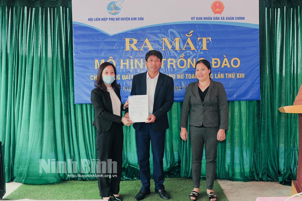 Ra mắt mô hình trồng cây hoa đào