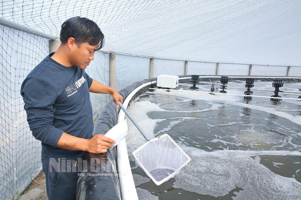 Chuyện vui vùng đất mở