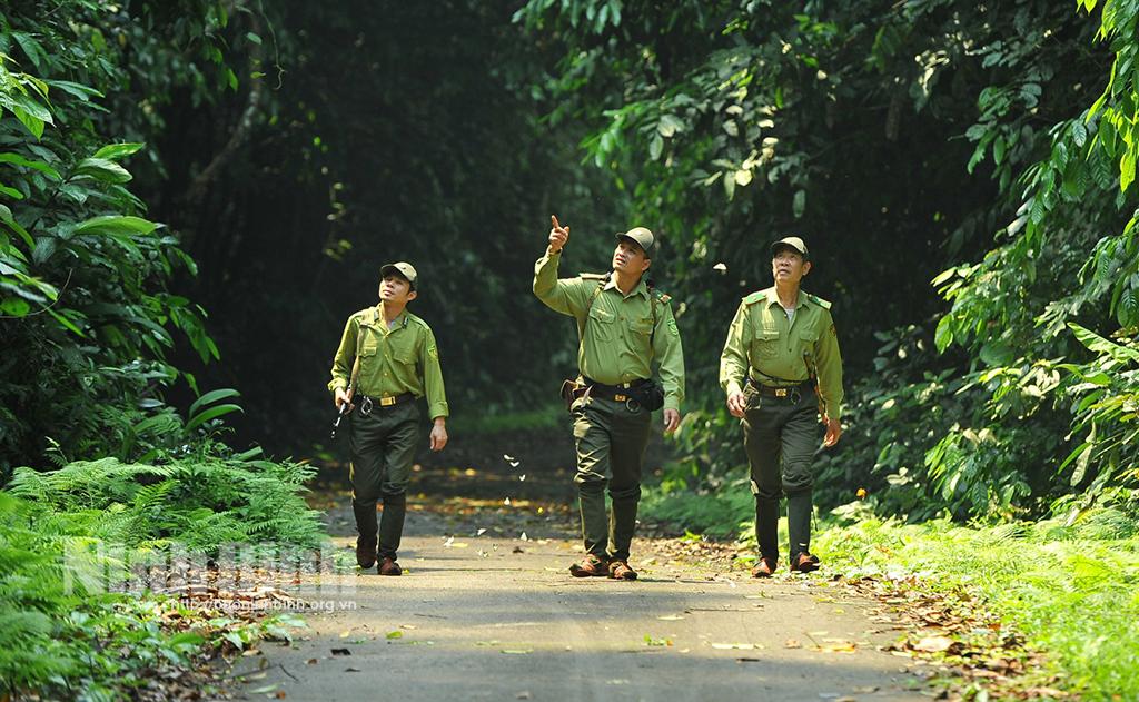 Những người giữ "lá phổi xanh"