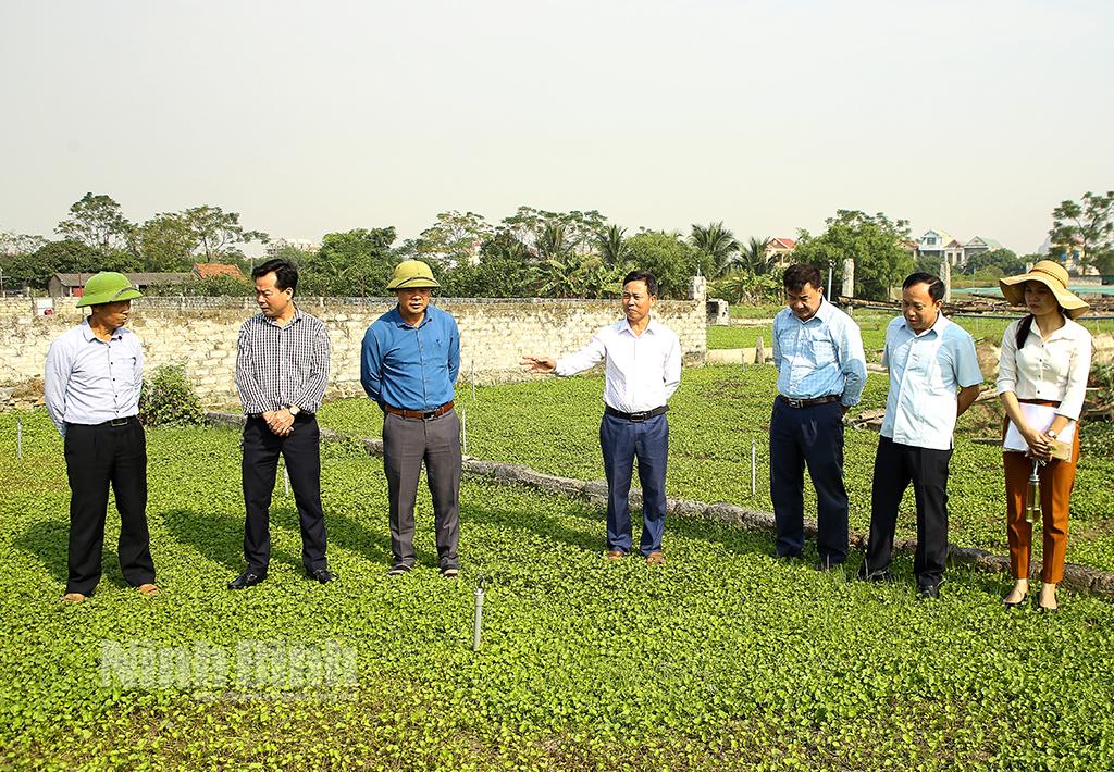 Triển khai xây dựng mô hình sản xuất sản phẩm theo chuỗi giá trị