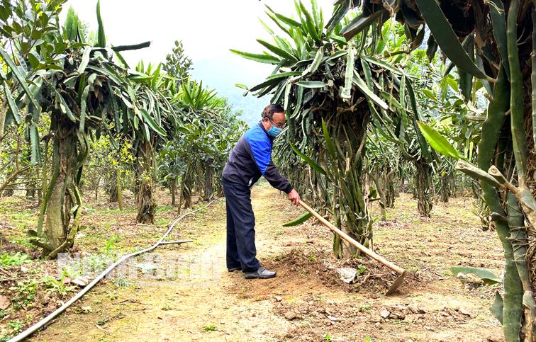 Nhịp sống mới trên đất Đá Hàn