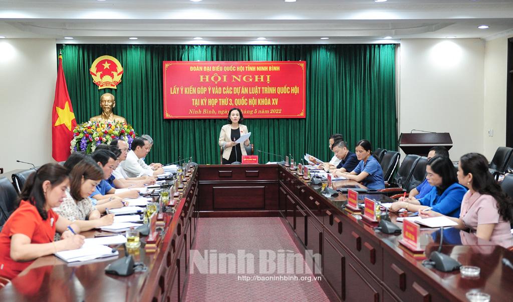 Đoàn đại biểu Quốc hội tỉnh lấy ý kiến đóng góp dự thảo Luật Thanh tra (sửa đổi) và Luật Dân chủ ở cơ sở