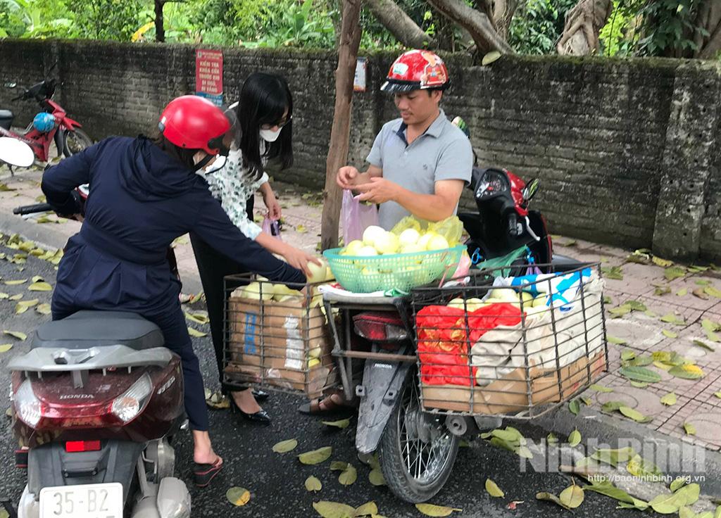 Dưa lê Kim Sơn được giá đầu vụ