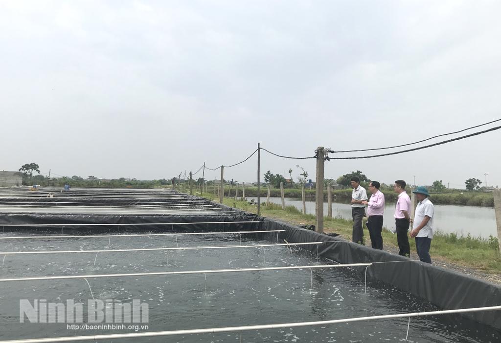 Kim Trung khai thác hiệu quả lợi thế để phát triển kinh tế