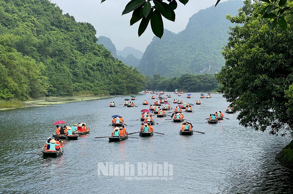 Rộn ràng nhịp mái chèo